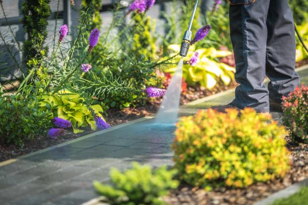 Best Dumpster Area Cleaning  in Grand Marais, MN