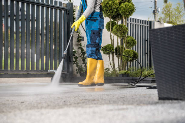Best Patio and Deck Pressure Washing  in Grand Marais, MN