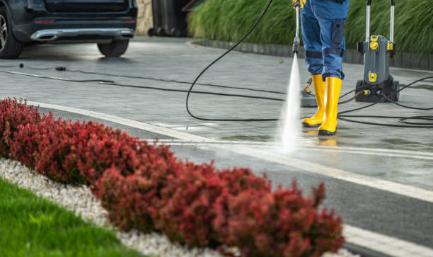 Boat and Dock Cleaning in Grand Marais, MN